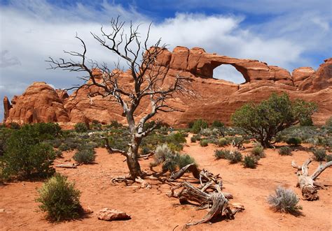 石頭拱門|Flying Eagle: 拱門國家公園(Arches National Park)